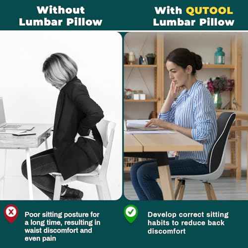 QUTOOL Lumbar Support Pillow with DIY Gift Box - Birthdays Gifts for Women Men, Ergonomic Back Support with Breathable 3D Mesh Cover, Suited for Office Chairs, Gaming Chairs£¬Car, Home Use (Black)