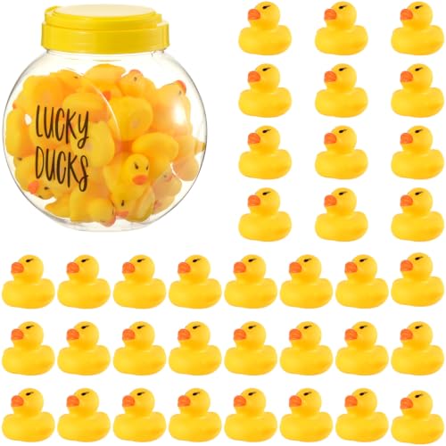 Classroom Lucky Ducks Set with Jar, Pen & Labels - Teacher Management Tool