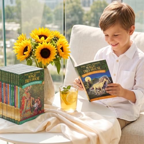 Norepios A Library of Tree House Reading Toys Set 1-39 Collection