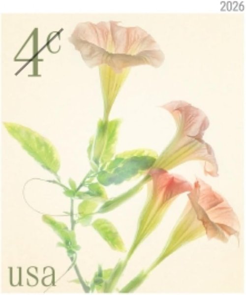 Angel's Trumpets 2026 4-Cent Stamps - Nature Flowers Definitive Mail-Use | Sheet of 20