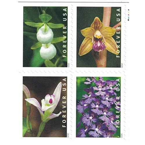 Wild Orchids Flowers (Booklet of 20) First-Class Mail Forever Postage Stamps 2020 Scott 5445-5454