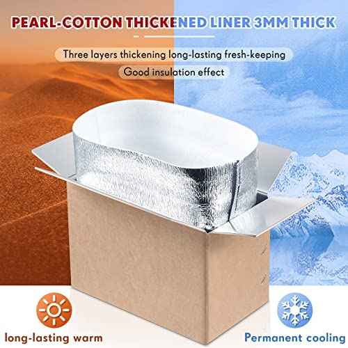 Nuanchu 10 Pieces Insulated Shipping Boxes Double Insulated with Aluminum Foil Liner 9" x 5" x 6" Cold Chill Thermal Insulation Reusable Small Mailing Box for Cold Food, Shipping, Mailing, Packing