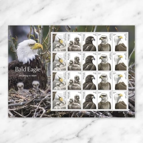 United States Bald Eagle Forever Postage Stamps Sheet of 20 - 2026