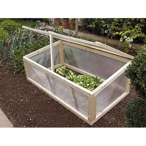 Falken Design 24 in x 36 in x 0.3125 in Clear Twin Wall Polycarbonate Sheet