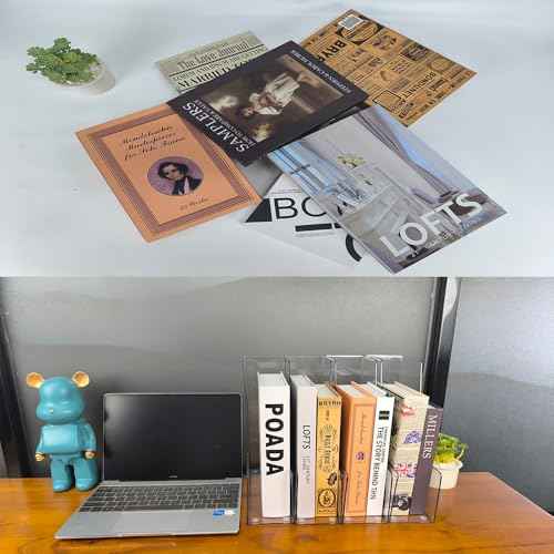 Vertical File Holder, 4 pack Clear Plastic Document Organizer and Clear Magazine Organizer, Multi-purpose Document Organizer for Home Office