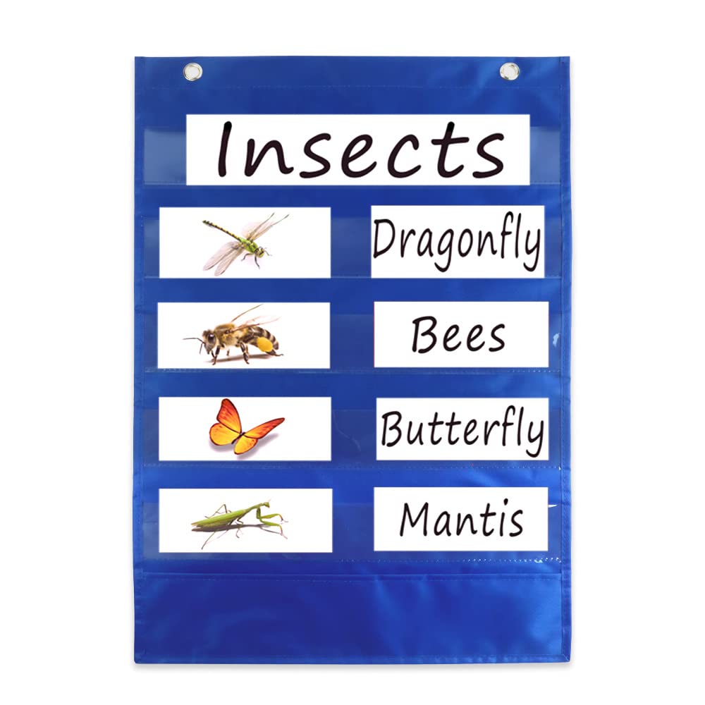 Mewise Pocket Chart with 10 Double Sided Sentence Strips, Activities, Class Demonstrations, Standards Pocket Chart, 420D Polyester, Blue
