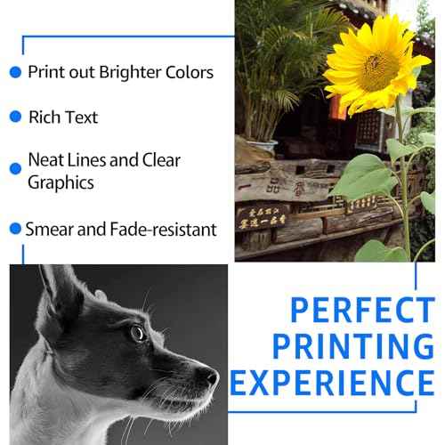SuperInk 246XL Remanufactured Ink Cartridge Replacement for CL-246 246XL CL-246XL Compatible with PIXMA iP2820 MG2420 MG2520 MG2555 MG2920 MG2922 MG2924 MG3020 MX490 MX492 (2 Color)