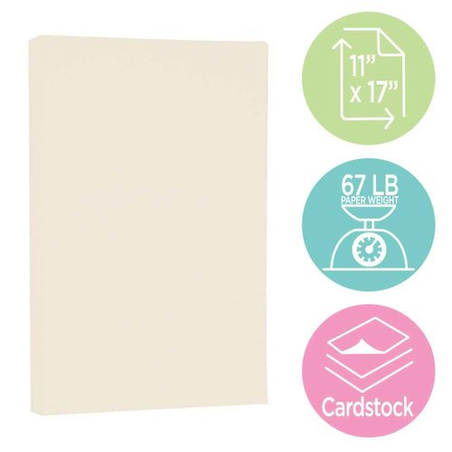 JAM PAPER Vellum Bristol 65lb Cardstock - 11 x 17 Ledger Size Coverstock - 147 gsm - Creme - 50 Tabloid Sheets/Pack