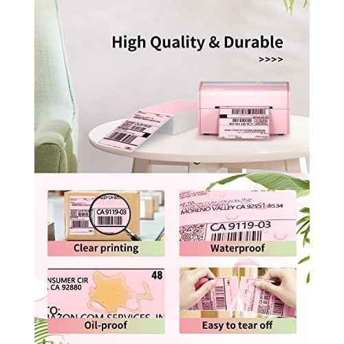 JADENS 4X6 Thermal Direct Shipping Label Compatible with JADENS MUNBYN, IDPRT, Rollo, Postage Label Paper for Small Businesses, 250 Labels/Pack, Pink