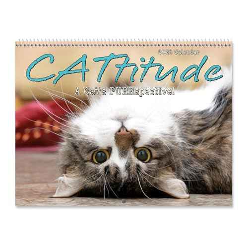Current 2026 Cattitudes Cat Wall Calendar, 12-Inch x 9-Inch Size Closed, 18-Inch Size Open, Large Bookstore-Quality, Spiral-Bound Hanging Monthly Wall Calendars for Kitchen & Office