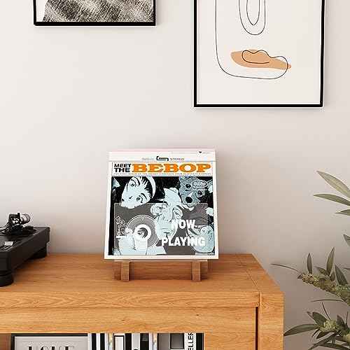 YuanDian Vinyl Record Display & Storage - Light Up Now Playing Acrylic Holder Shelf with LED Display & USB Power