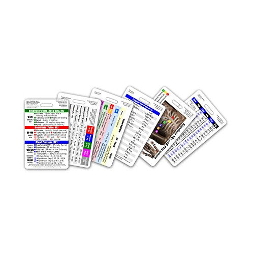 Mini CNA/MA Tech Vertical Badge Card Set – 6 Waterproof ID Cards