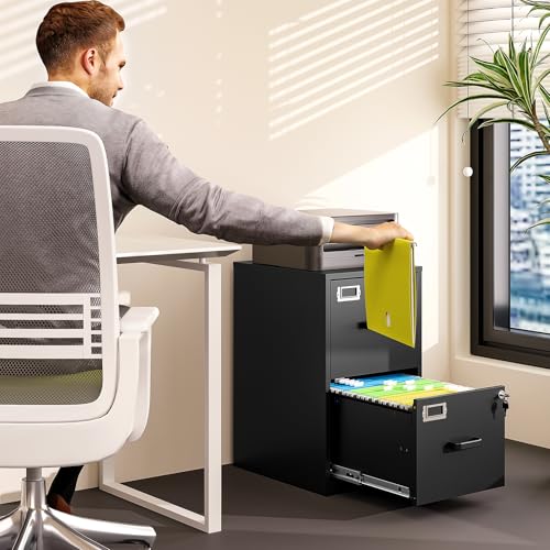 BYNSOE Black 2-Drawer Locking File Cabinet - Vertical Steel Office Storage, 25.39"H