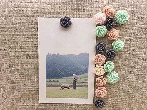 Temoyj 24Pcs Decorative Push Pins Gray Mint – Cork Board Tacks for Office & Home