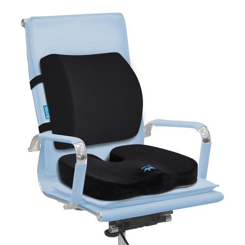 QUTOOL Lumbar Support Pillow and Seat Cushion for Office Chair