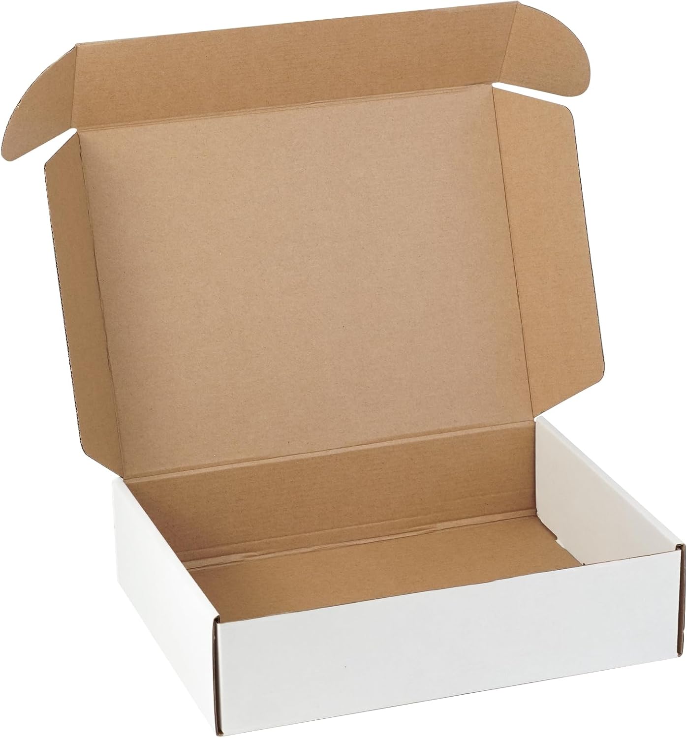 White Corrugated Cardboard Shipping Boxes - Set of 5 | 12"x9"x3" Literature Mailers