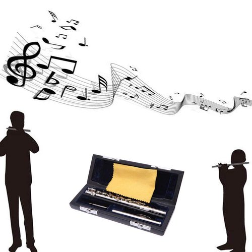 summina Piccolo Ottavino Half-size Flute Silver Plated C Key Cupronickel with purifying Cloth Screwdriver Padded Box