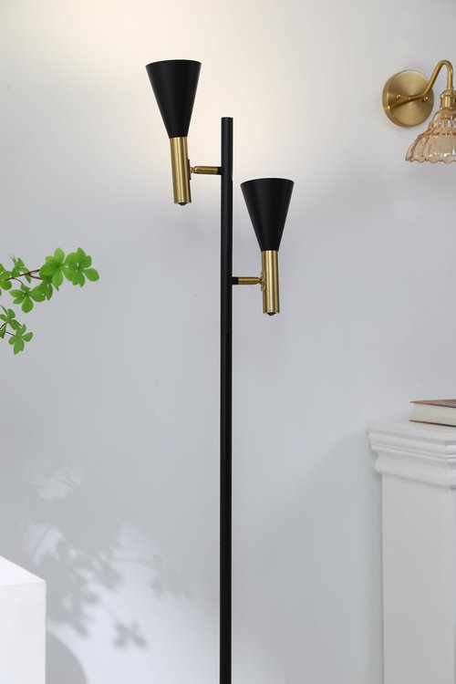 Asmymhd Modern Floor Lamp with 2 Adjustable Head Tall Pole Uplight for Living Room, Bedroom, Office,Gold and Black Corner Light for Reading (Black and Gold)