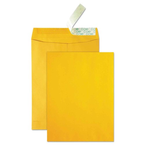 Quality Park High Bulk Catalog Envelope, 9 x 12 Inches, Kraft, Redi-Strip, Box of 250 (41420)