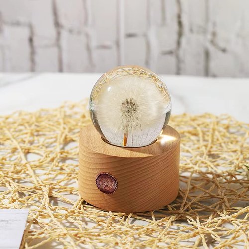 DESHINTKE Real Dandelion Specimen with Wood Round Base Paperweight Desktop Decor Decoration (Style2)