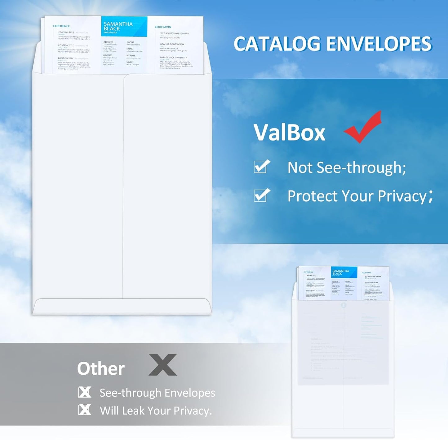 ValBox 9x12 Self-Seal Catalog Envelopes - 250 Pack White Mailing Envelopes with Peel & Seal Flap