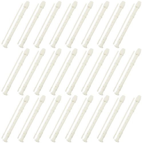 JAPCHET 24 Pack 12 Inch 8 Hole Soprano Recorders, German Style Descant Soprano Recorder, Plastic Descant Flute with Cleaning Rod & Storage Bag, for Graduation, Show, Gift White