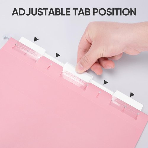BALEINE File Organizer Box with Lid+ Hanging File Folders (8PK Combo)