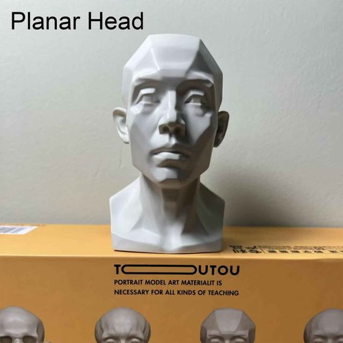 Generic 4 Pack Head Model for Drawing Reference, Artists Manikin, Skull Muscle Plane Heads Set, Color White, 13.2cm