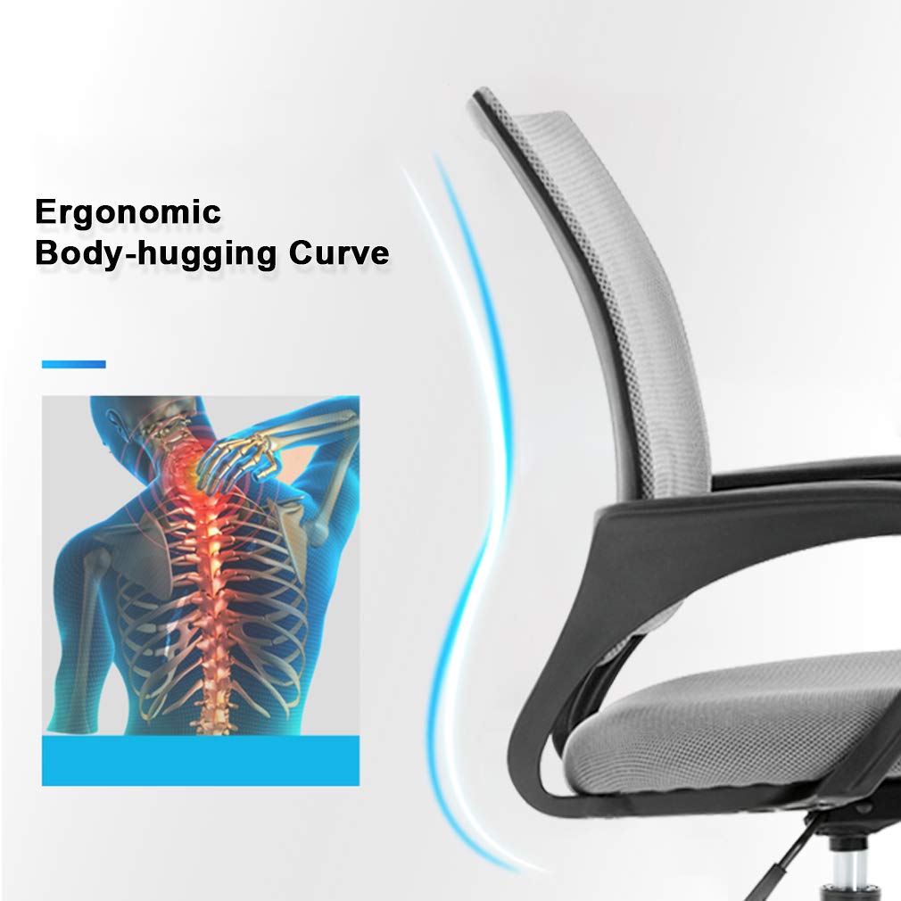Office Chair Desk Chair Computer Chair Ergonomic Executive Swivel Rolling Task Chair for Back Support,2 Pack