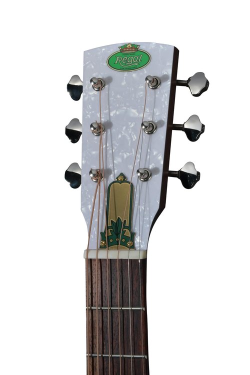 Regal Duolian Resonator Polychrome Guitar RC-1