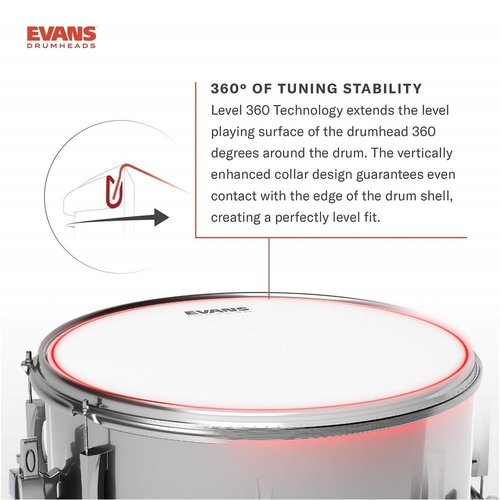 Evans Drumheads 14-Inch Pwr Ctr Rev Dot Ctd (B14G1RD)
