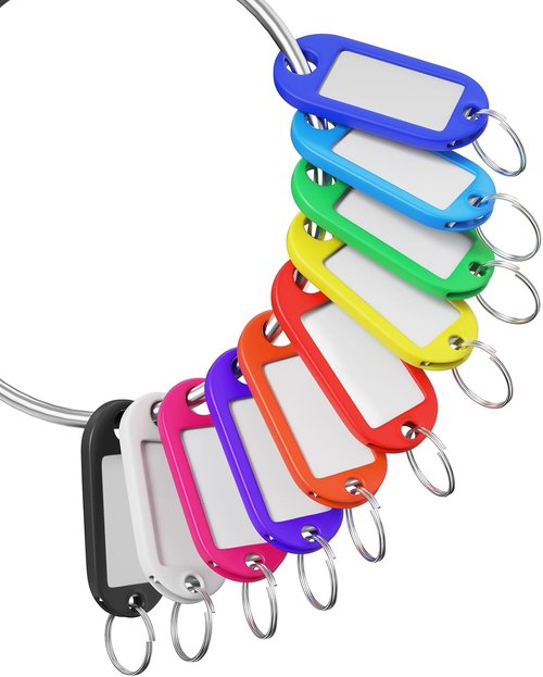 Skiennix 70 Pcs Plastic Colored Key Ring Tags - Versatile Name Tags for Keys, Luggage & Pets