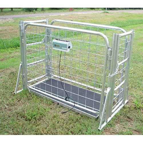 VS-660 hog Sheep Goat Scale with cage