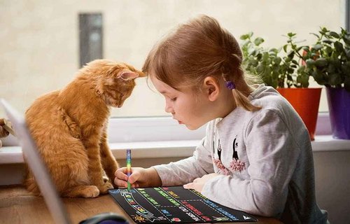 3PCS First and Last Day of School Chalkboard Sign Reusable, Back to School Board First & Last Day of Kindergarten Sign, Double Sided Schools Preschool Signs for Kids