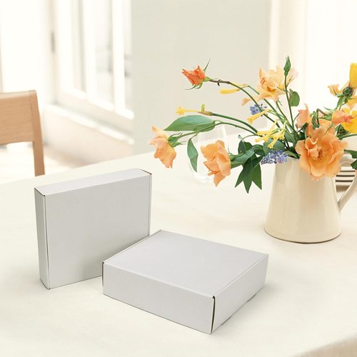 HORLIMER Shipping Boxes - Set of 25 White Corrugated Cardboard Literature Mailers | 11x9x3 Inches