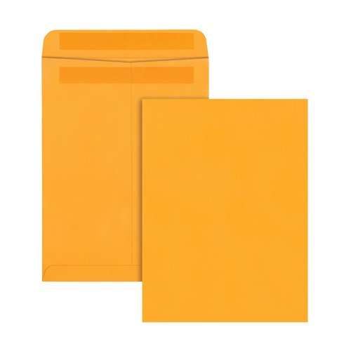 Quality Park 9 x 12 Catalog Mailing Envelopes, Redi-Seal Self Seal Envelope Closure, 28 lb Kraft Paper, 250 per Box (QUA43562)