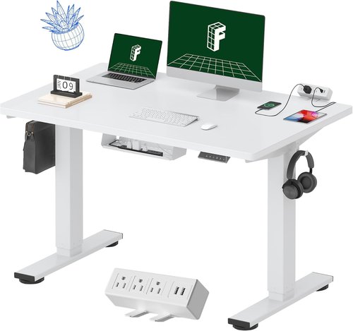 FLEXISPOT EN2 Electric Height Adjustable Standing Desk - 48"x30" with Clamp Power Strip & Cable Management - White Frame