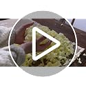15LBS Bean Bag Filler – Shredded Memory Foam Refill