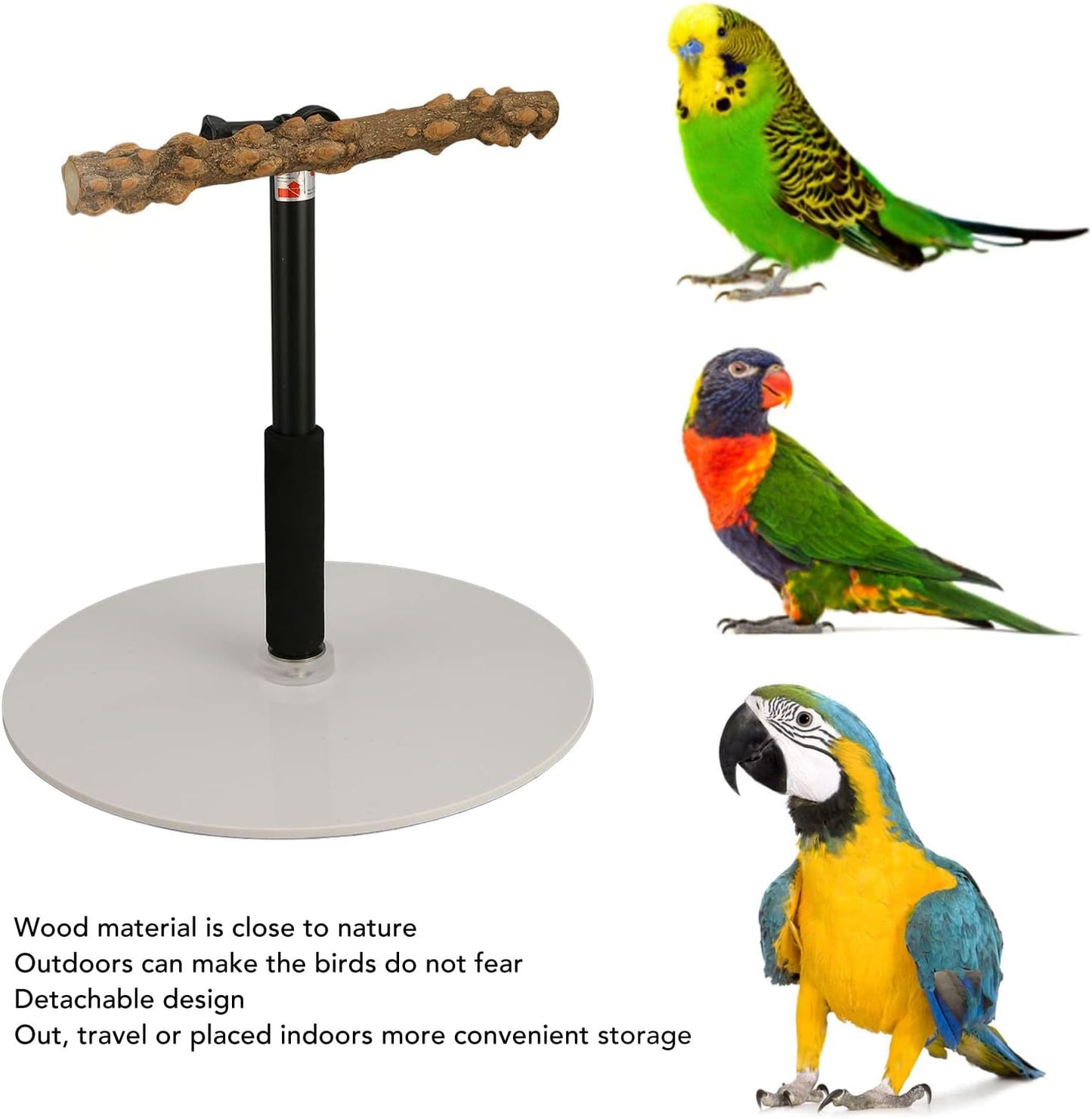 Skiennix Bird Play Stand - Portable Detachable Perch for Indoor/Outdoor Travel | Ideal for Climbing and Playing