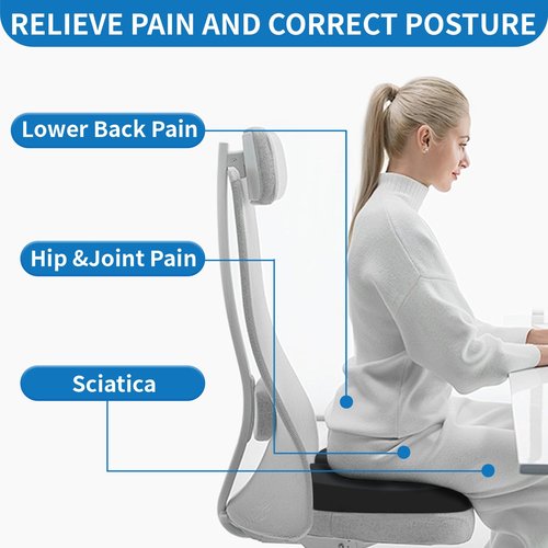 QUTOOL Lumbar Support Pillow and Seat Cushion for Office Chair