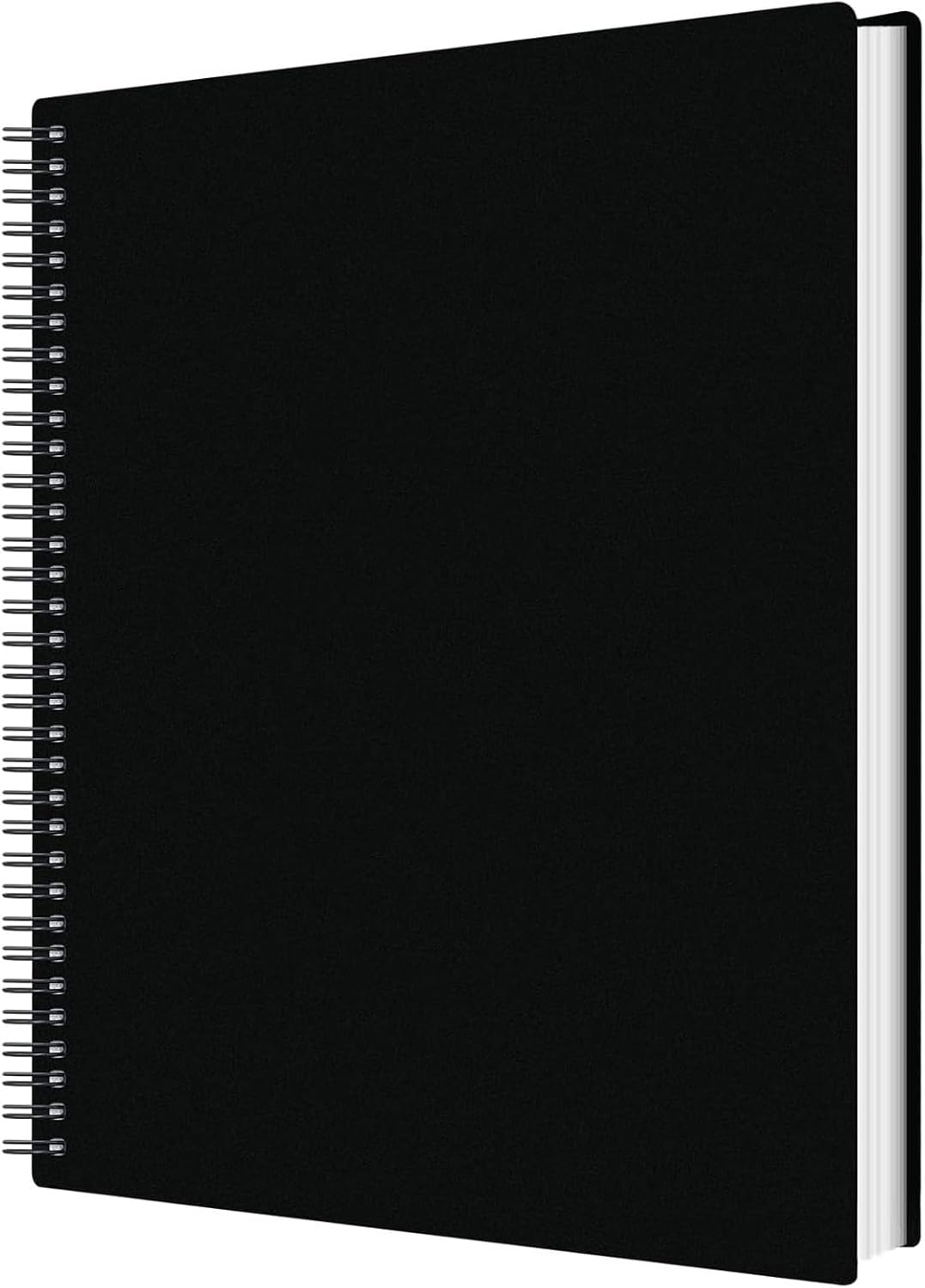 60 Pockets Portfolio Binder - Presentation Book with Plastic Sleeves for Artwork & Documents