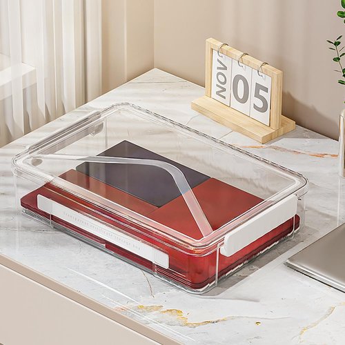 RHONZHAO 2 Pack Clear Plastic File Boxes w/Latching Lids, Stackable A4 Storage (‎White Latches, Large)