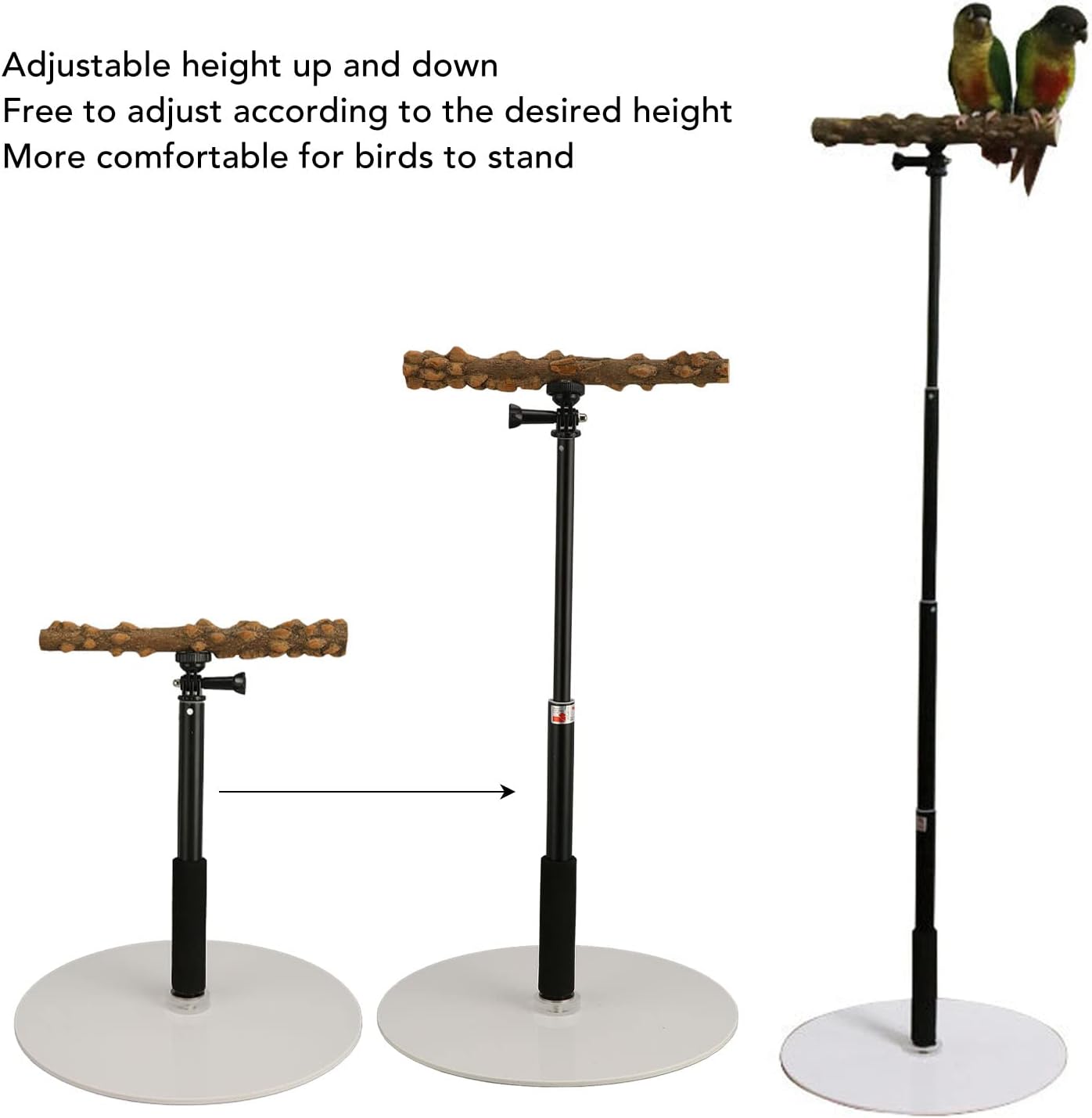 Skiennix Bird Play Stand - Portable Detachable Perch for Indoor/Outdoor Travel | Ideal for Climbing and Playing
