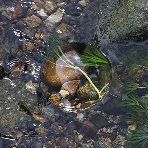 BIJIA 95mm Acrylic Paperweight Magnifying Dome - Hand-Free Reading & Decor