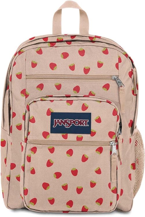 JanSport Laptop Backpack - Ergonomic Computer Bag with 2 Compartments & 15” Sleeve - Strawberry Shower