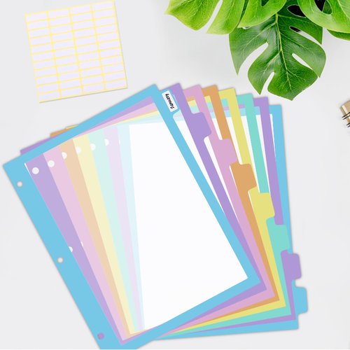 16Pcs/2 Set 8 Tab Dividers, Clear Plastic Binder Dividers with Tabs, for 3 Ring Binder, Letter Size, Multicolor