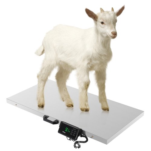 TUFFIOM 1100Lbs x 0.2Lbs Postal Digital Livestock Scale, Electronic Stainless Steel Platform Heavy Duty Vet Animal Scale,Dog Pig Goat Sheep Scale, Silvery