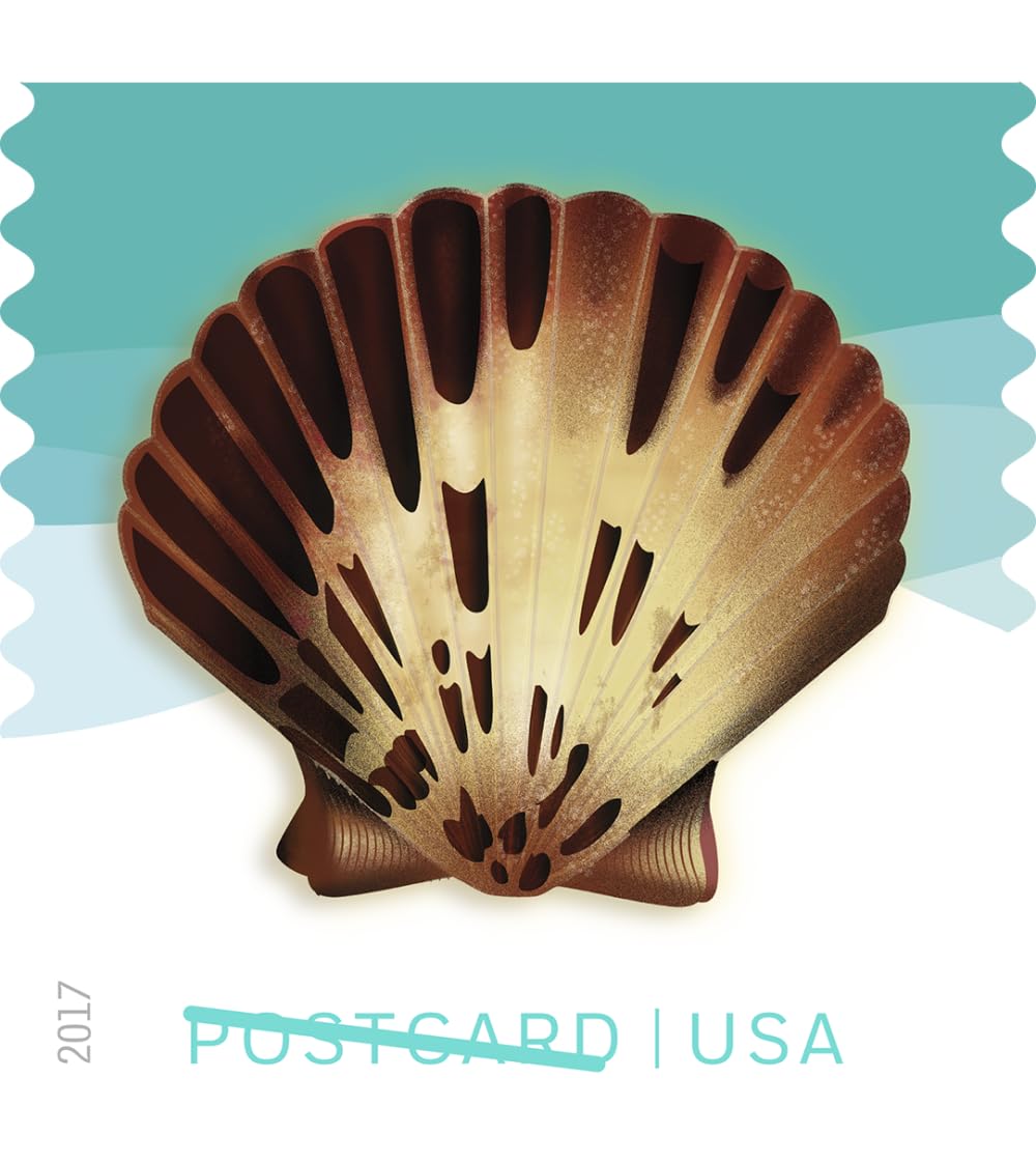 USPS Seashells Postcard Stamps, Sheet of 20