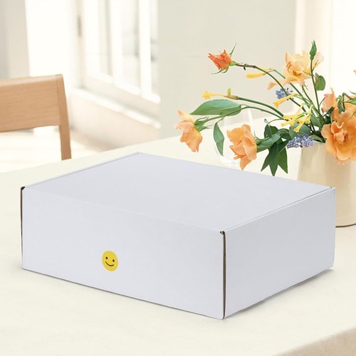 HORLIMER Shipping Boxes - 12x9x4 Inches White Corrugated Cardboard Mailer for Small Business
