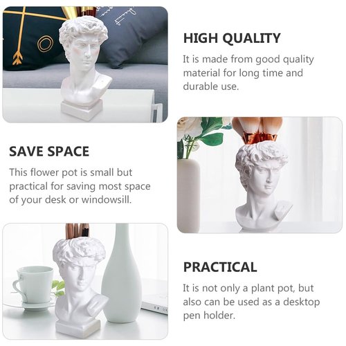 NUOBESTY David Bust Statue Makeup Organizer, 6 Inch David Sculpture Decor for Storage Pen,Brush Holder, Desktop Organizer, Flower